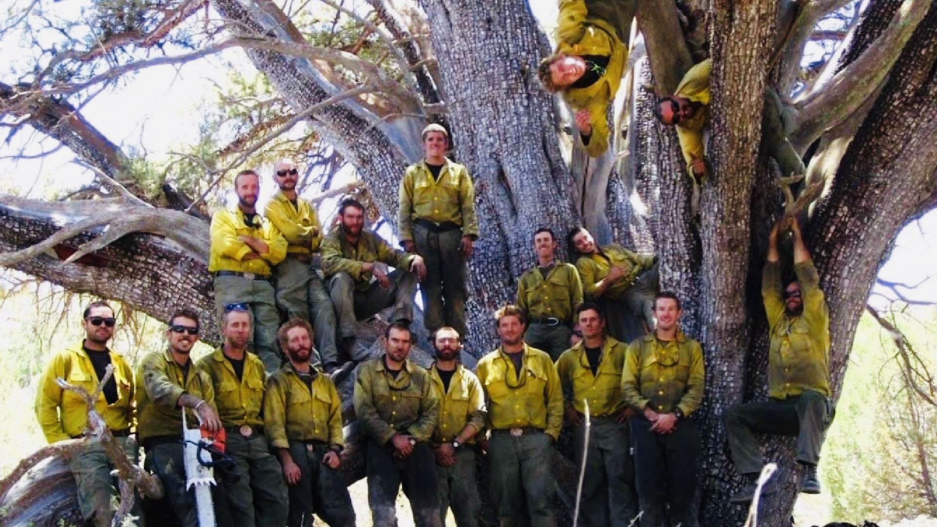 Gobernador de Arizona, Doug Ducey, ordena ondear las banderas a media asta para honrar a los 19 bomberos que murieron en el incendio de Yarnell | Univision Phoenix KTVW - Vimarsana News