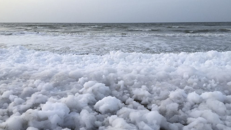Qué es esa misteriosa espuma blanca que apareció en playas del Golfo de México | Noticias Univision Planeta - Vimarsana News