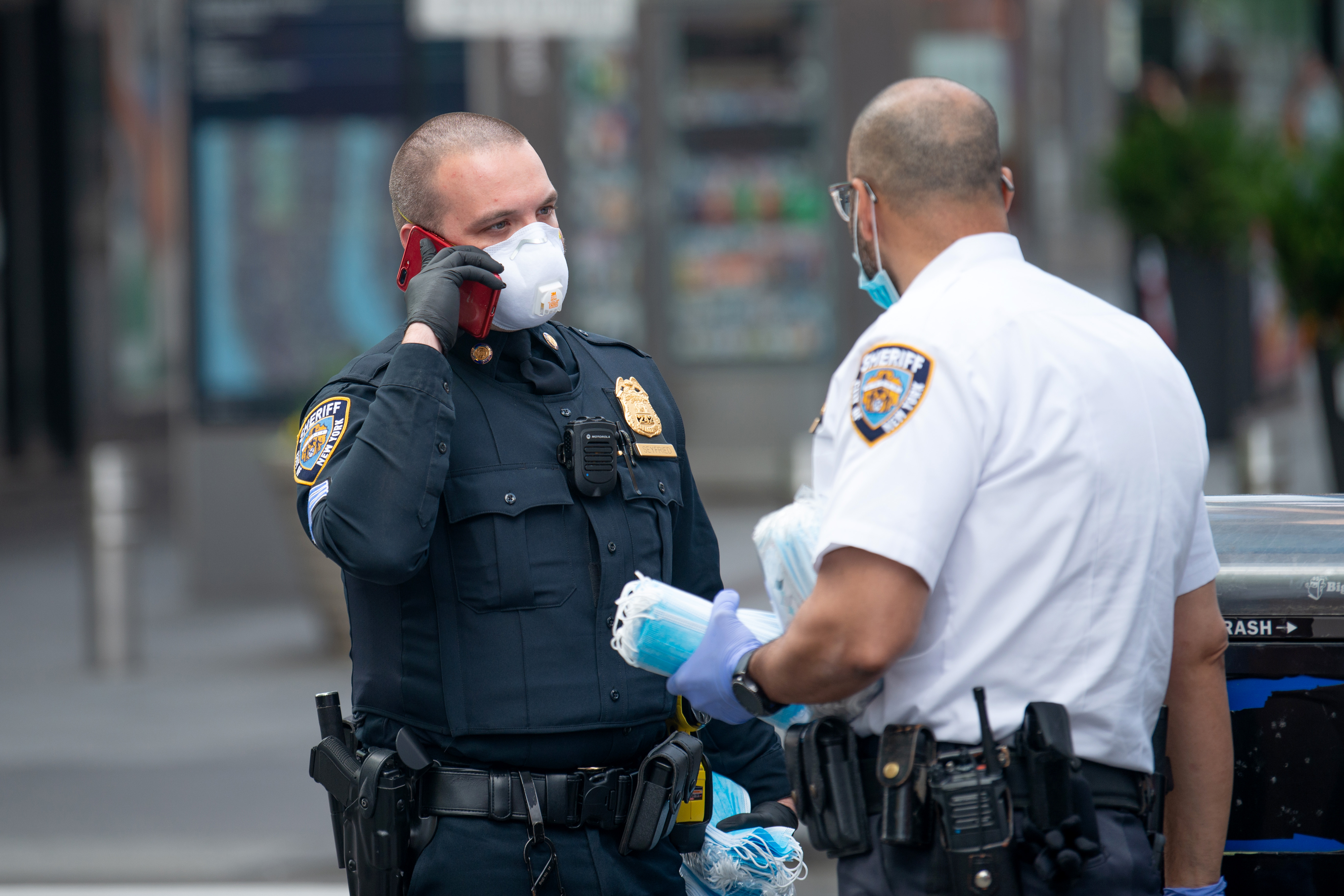 Autoridades de NYC incautan 43 vehículos por matrículas de papel falsas | Univision 41 Nueva York WXTV - Vimarsana News